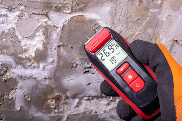 Best Industrial Mold Remediation in Hoopeston, IL